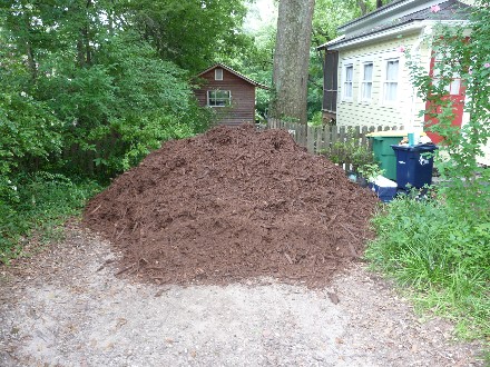 Web 2013-07-26 Tree Mulch Soil w Brett 033.jpg